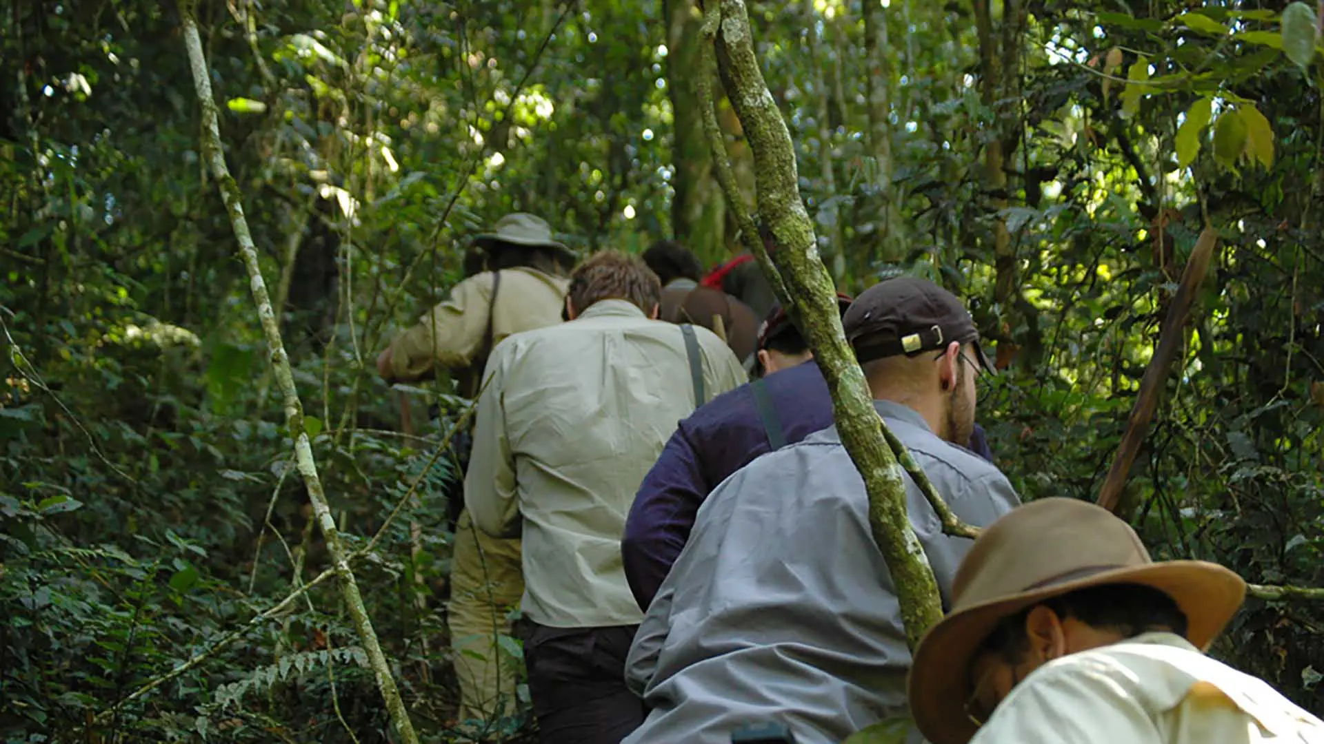 Expeditions Team