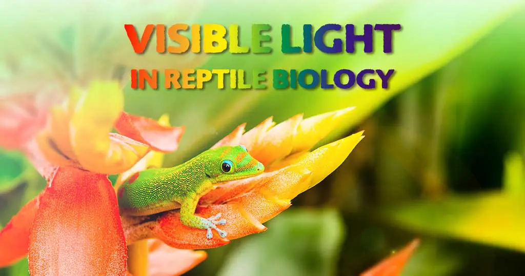 Visible Light
