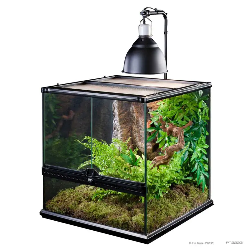 Exoterra Lamp Holder Bracket