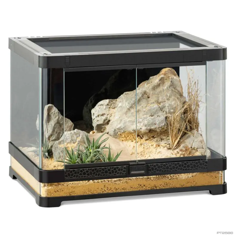 Exoterra Vista 60 Panaromic Terrarium 60cm x 45cm x 45cm
