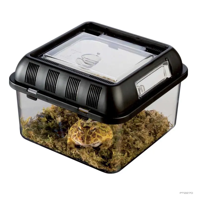 Exo Terra Breeding Box, Small,21.2 x 21.2 x 15.5 cm