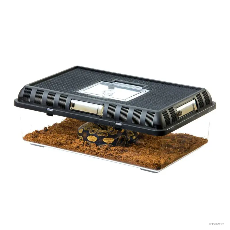 Exo Terra Breeding Box, Large,41.3 x 26.3 x 14.7 cm