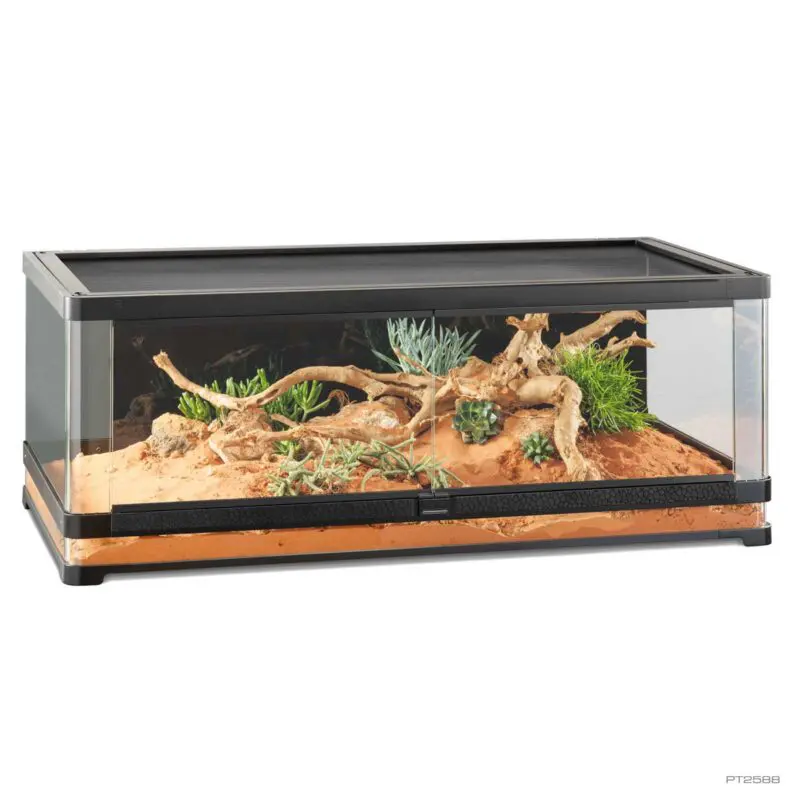 Exoterra Vista 120 Panaromic Terrarium 120cm x 60cm x 45cm