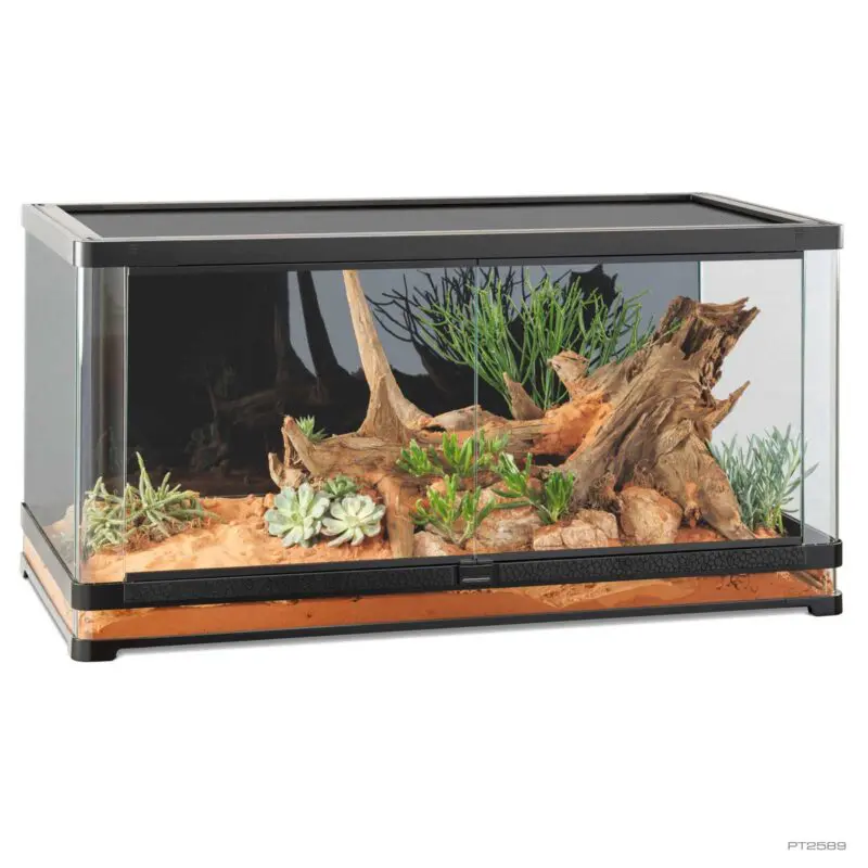 Exoterra Vista 120XL Panaromic Terrarium 120cm x 60cm x 60cm