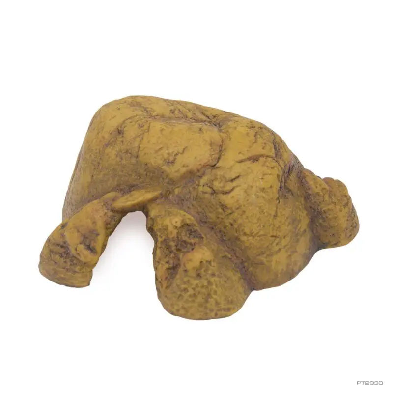Exoterra Reptile Cave Medium