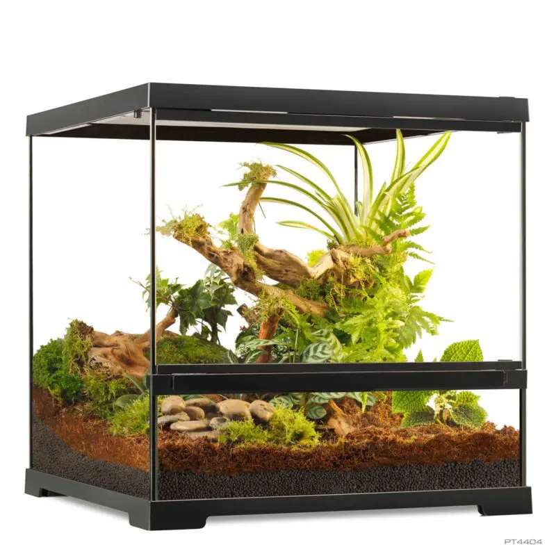 Exoterra Pro Terrarium 45cm x 45cm x 45cm
