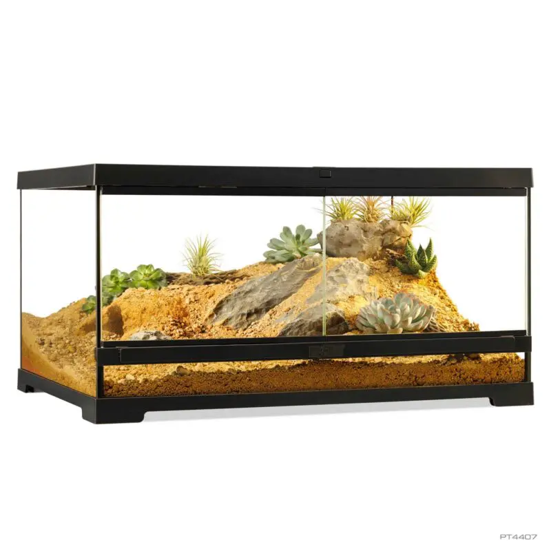 Exoterra Pro Terrarium 60cm x 45cm x 30cm